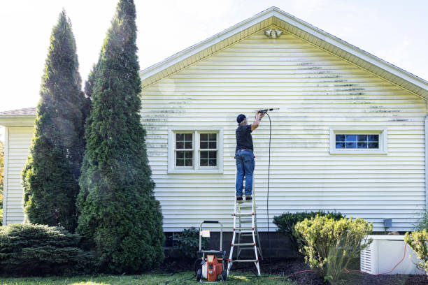 Trusted Mangonia Park, FL Pressure Washing Experts